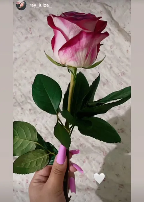 
					BBB 26: quem é a esposa de Pedro, que foi traída e 'explodiu' na web
				
				