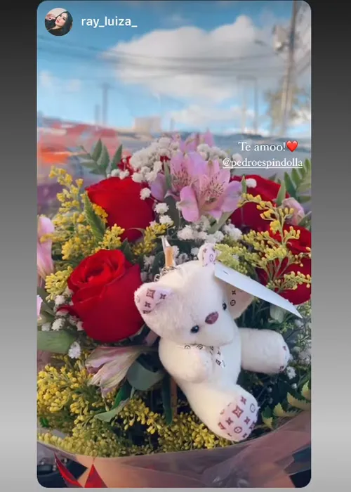 
					BBB 26: quem é a esposa de Pedro, que foi traída e 'explodiu' na web
				
				