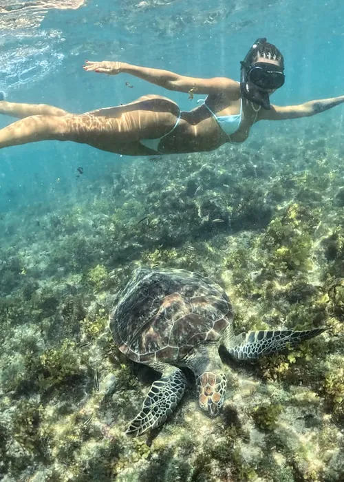 
					Brunna Gonçalves choca internet ao nadar com tubarões: 'Parece IA'
				
				
