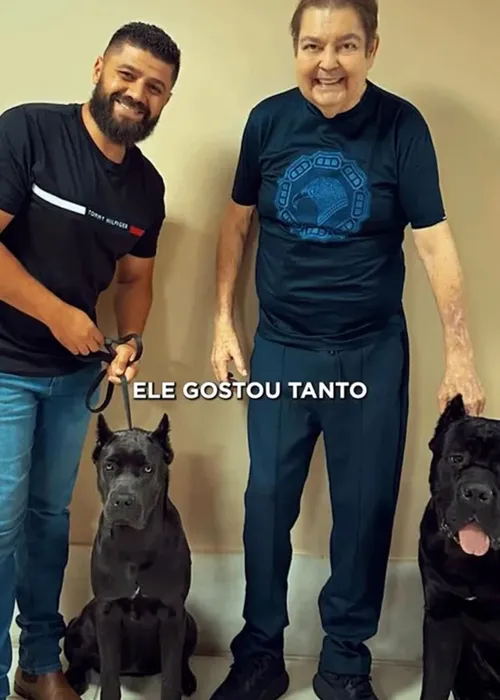 
					Faustão reaparece de pé e sorridente ao receber novo pet de estimação
				
				