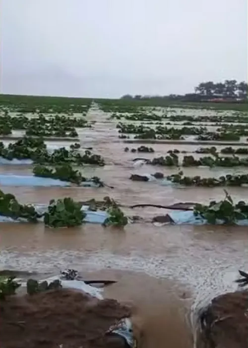 
					Início das aulas é adiado devido a fortes chuvas em cidade da Bahia
				
				