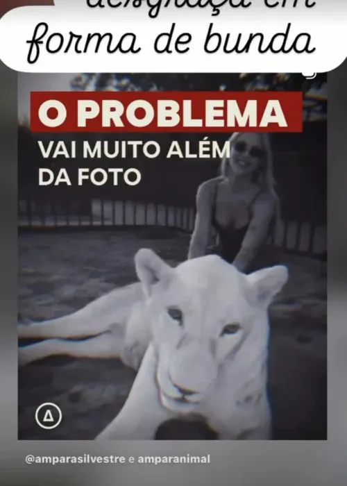 
					Luana Piovani volta a atacar Virginia: 'Desgraça em forma de bunda'
				
				