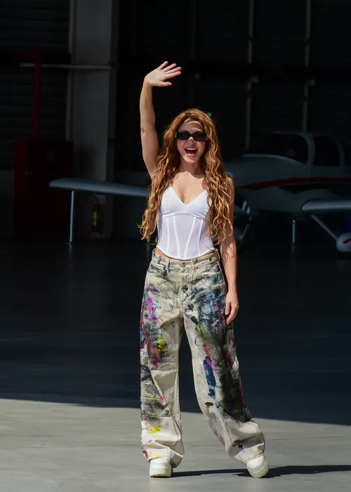 
					Shakira desembarca no Brasil para megashow no Rio e surpreende fãs
				
				