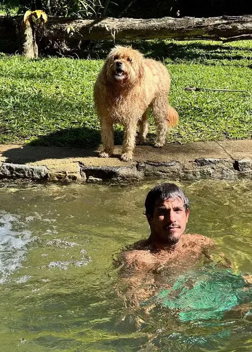 
					Solteiro, Marcello Novaes se isola em sítio e exibe rotina após novela
				
				