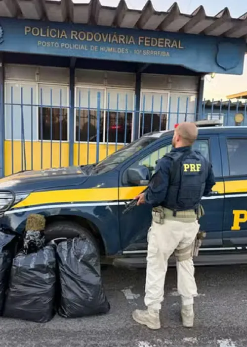 
					Suspeito foge, provoca acidente e escapa após perseguição na Bahia
				
				