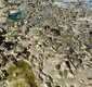 
                  Pescadores cobram ações após contaminação da praia de São Tomé