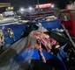 
                  Quase uma tonelada de carne clandestina é apreendida na Bahia