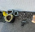 Mulher é presa com 10 kg de maconha em operação policial em Salvador