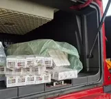 Apreendidas na Bahia mais de 2,7 mil ampolas de tirzepatida em carga