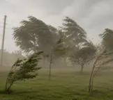 Inmet emite alerta amarelo para vendaval na Bahia; veja onde