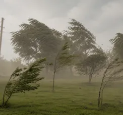 Inmet emite alerta amarelo para vendaval na Bahia; veja onde