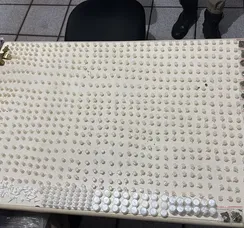 PM apreende mais de mil porções de drogas em São Francisco do Conde