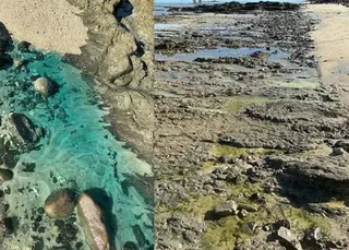 Prefeitura prorroga situação de emergência da praia de Paripe