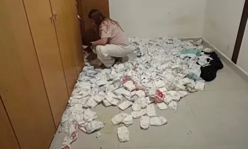 
					Ex de Carol Nakamura pede Pix após cães destruírem fraldas da filha
				
				