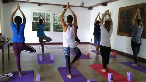
					Para o seu bem-estar: quatro novidades do mercado wellness em Salvador
				
				