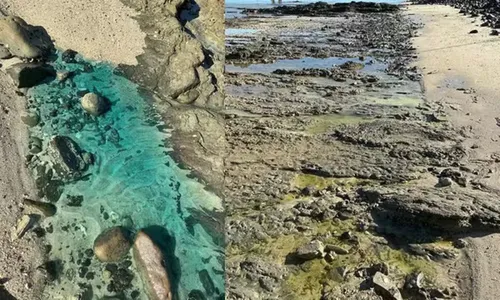 
					Prefeitura prorroga situação de emergência da praia de Paripe
				
				