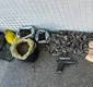 
                  Mulher é presa com 10 kg de maconha em operação policial em Salvador
