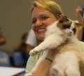 Shopping de Salvador recebe Exposição Internacional de Gatos