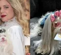 Quem Ama Cuida: Maria Antonieta se vira contra dona e revela pior crime de Pilar
