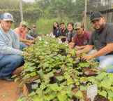 Pronatec abre 240 vagas em cursos gratuitos de 'Vagas Verdes' na Bahia