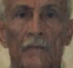 Idoso de 86 anos morre após ser atacado por abelhas na Bahia