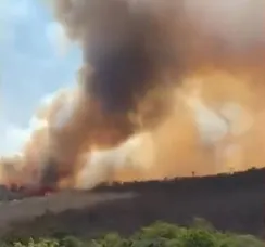 Incêndio de grandes proporções atinge área de vegetação na Bahia