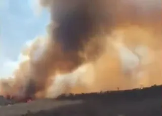 Incêndio de grandes proporções atinge área de vegetação na Bahia
