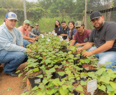 Pronatec abre 240 vagas em cursos gratuitos de 'Vagas Verdes' na Bahia