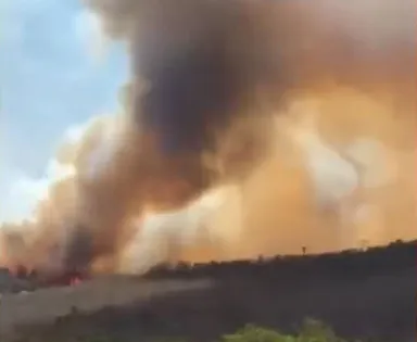 Incêndio de grandes proporções atinge área de vegetação na Bahia