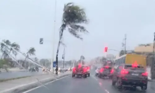 
					Inmet emite alerta para ventos fortes em cidades do sul da Bahia
				
				