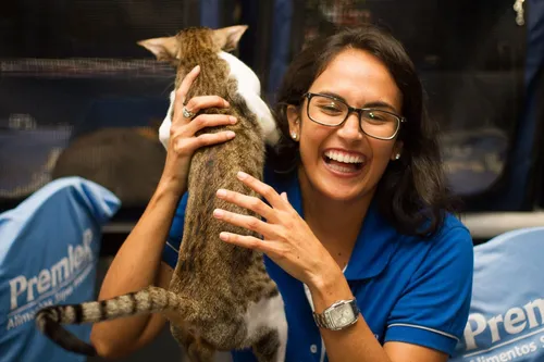 
					Shopping de Salvador recebe Exposição Internacional de Gatos
				
				