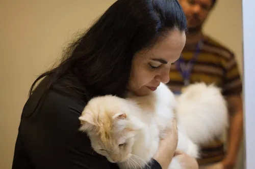 
					Shopping de Salvador recebe Exposição Internacional de Gatos
				
				