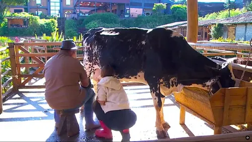 
					A Fazenda 18: Ana Bruna muda de postura e se reaproxima de Serginho após trairagem de Tina
				
				