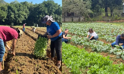 
					Conheça a horta que fez de Zeca Pagodinho um 'Embaixador da Agricultura Urbana'
				
				