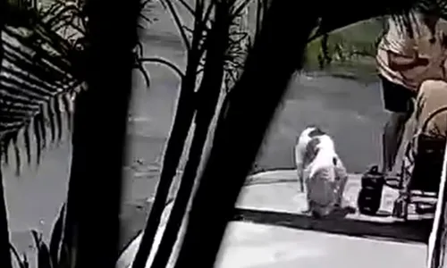 
					Idoso é agredido com pauladas após reclamar de fezes de cachorro na Bahia
				
				