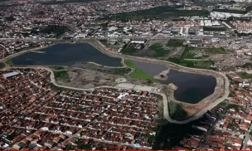 
					Jacaré de dois metros é encontrado morto em lagoa de Feira de Santana
				
				