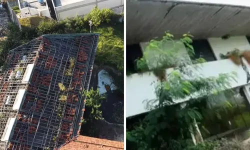 
					'Mansão de Hebe Camargo': veja como está imóvel abandonado em São Paulo
				
				