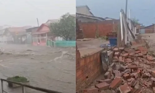 
					Número de cidades com alerta de chuvas intensas na Bahia sobe para 382; veja lista
				
				