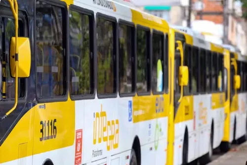 
					Salvador terá 330 novos ônibus com ar-condicionado após acordos
				
				