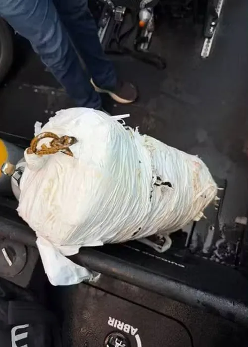 
					Drogas são encontradas escondidas em navio de carga em Salvador
				
				