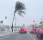 
                  Inmet emite alerta para ventos fortes em cidades do sul da Bahia