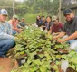 
                  Pronatec abre 240 vagas em cursos gratuitos de 'Vagas Verdes' na Bahia