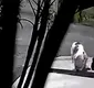 
                  Idoso é agredido com pauladas após reclamar de fezes de cachorro na Bahia