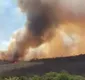 
                  Incêndio de grandes proporções atinge área de vegetação na Bahia