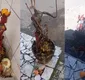 
                  Mãe de santo denuncia pastor por quebrar imagem de orixá na Bahia