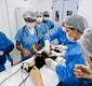 
                  Universidade faz atendimentos gratuitos em cadelas e gatas em Salvador