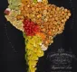 
                  Artistas criam mapas com alimentos típicos de cada país
