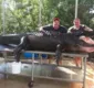 
                  Homens capturam crocodilo gigante usando apenas uma corda
