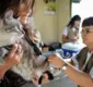 
                  Pet shops terão de manter veterinário para inspeções diárias