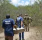 
                  Polícia encontra ossada que seria de jovem desaparecido em Feira